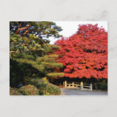 Herbst in Japan Postkarte (Vorderseite)