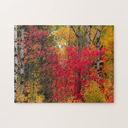 Herbst in Kanada. Puzzle (Horizontal)