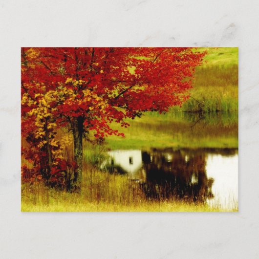 Herbst in Kentucky Postkarte (Vorderseite)
