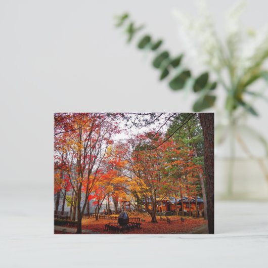 Herbst in Korea Postkarte (Stehend Vorderseite)