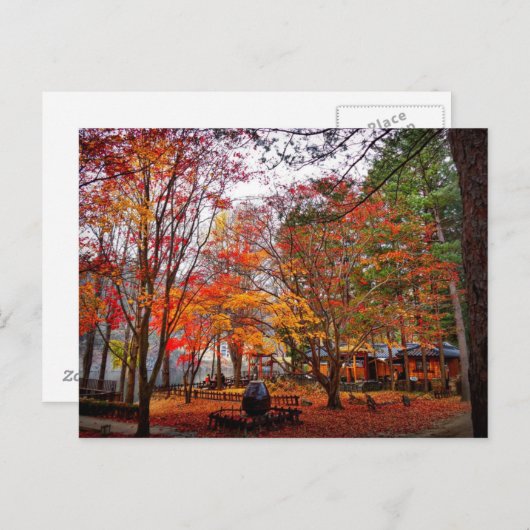 Herbst in Korea Postkarte (Vorne/Hinten)