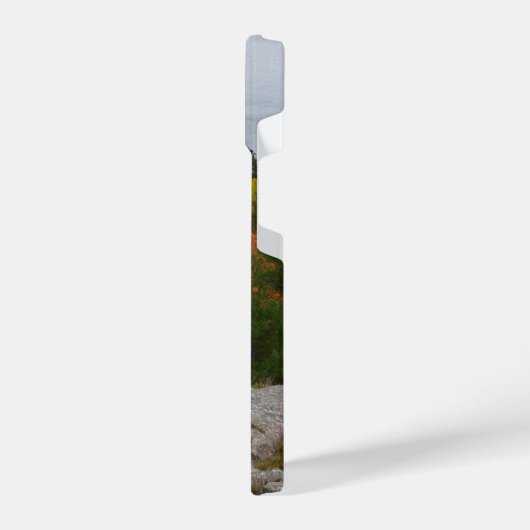 Herbst in Marquette iPhone Hülle (Linke Seite)