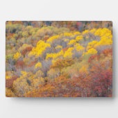 Herbst in Michigan Fotoplatte (Vorderseite)