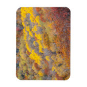 Herbst in Michigan Magnet (Vertikal)