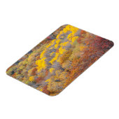 Herbst in Michigan Magnet (Linke Seite)