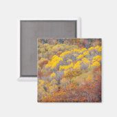 Herbst in Michigan Magnet (Vorderseite/Rückseite)