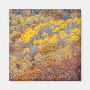 Herbst in Michigan Magnet
