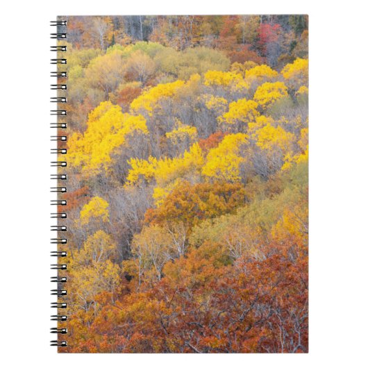 Herbst in Michigan Notizblock (Vorderseite)