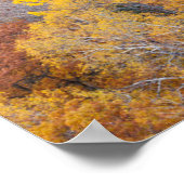 Herbst in Michigan Poster (Ecke)