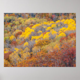 Herbst in Michigan Poster