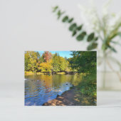 Herbst in Michigan Postkarte (Stehend Vorderseite)