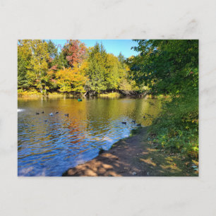 Herbst in Michigan Postkarte