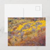 Herbst in Michigan Postkarte (Vorne/Hinten)