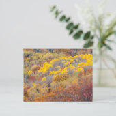Herbst in Michigan Postkarte (Stehend Vorderseite)