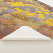 Herbst in Michigan Sherpadecke (3/4)