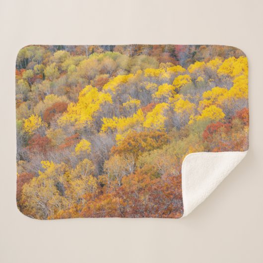 Herbst in Michigan Sherpadecke (Vorderseite (Horizontal))
