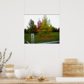 Herbst in Missouri Poster (Küche)