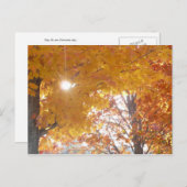 Herbst in Montreal Postkarte (Vorne/Hinten)