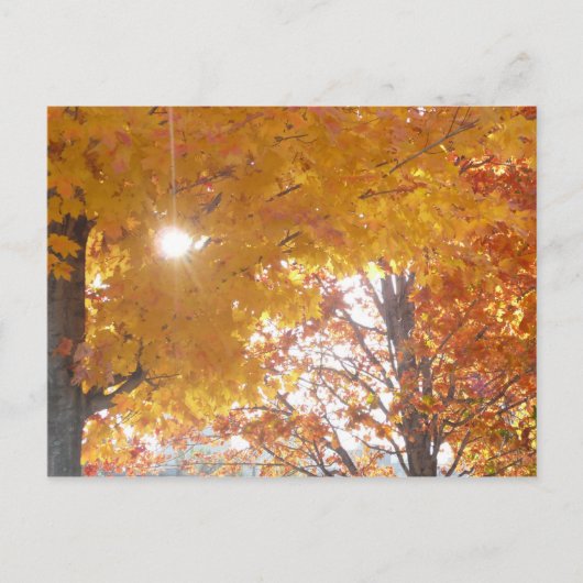 Herbst in Montreal Postkarte (Vorderseite)