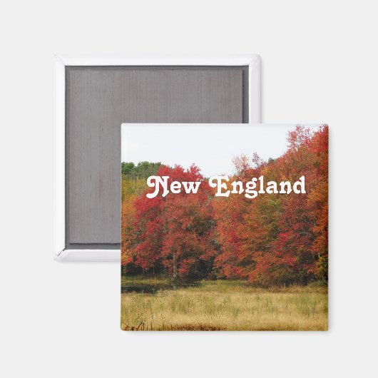 Herbst in New England Magnet (Vorderseite/Rückseite)