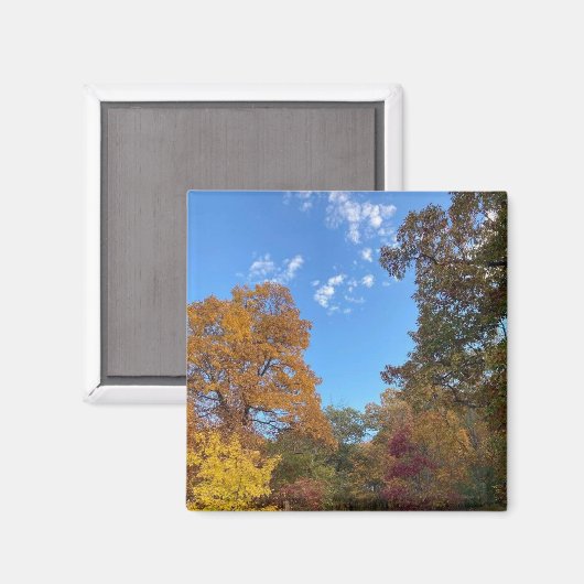 Herbst in New England Magnet (Vorderseite/Rückseite)