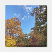 Herbst in New England Magnet (Vorne)