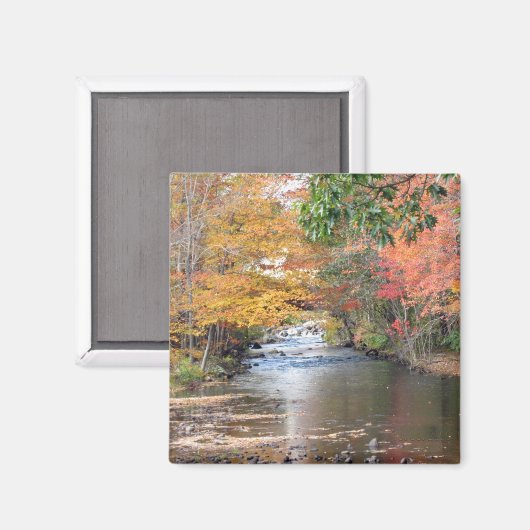 Herbst in New England Magnet (Vorderseite/Rückseite)