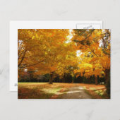Herbst in New England Postkarte (Vorne/Hinten)