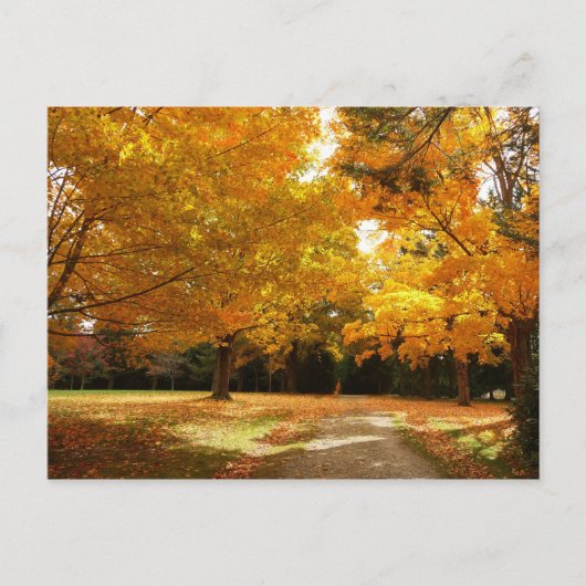 Herbst in New England Postkarte (Vorderseite)