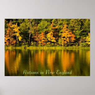Herbst in New England Print Poster