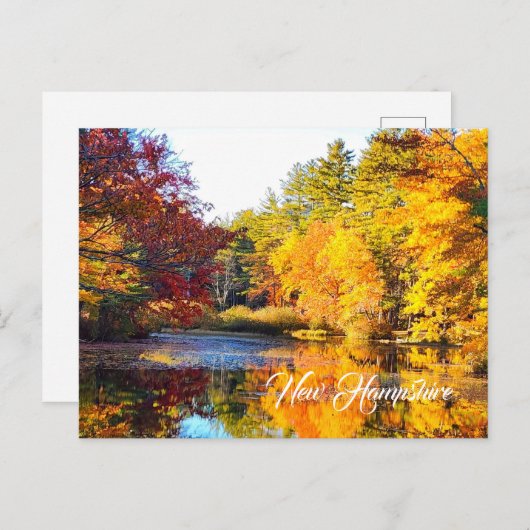 Herbst in New Hampshire Postkarte (Vorne/Hinten)