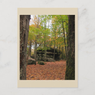 Herbst in New York - 1 Postkarte