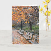 Herbst in New York Herbstlaubs Riverside Park NYC Karte (Gelbe Blume)