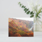 Herbst in North Carolina Postkarte (Stehend Vorderseite)