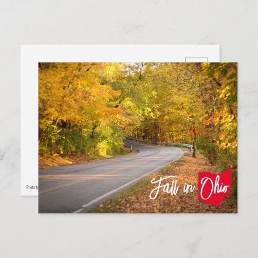 Herbst in Ohio-Kruvy Road Herbstblättern Postkarte (Vorne/Hinten)