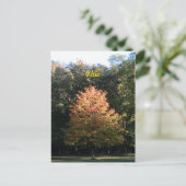Herbst in Ohio Postkarte (Stehend Vorderseite)
