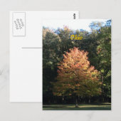 Herbst in Ohio Postkarte (Vorne/Hinten)
