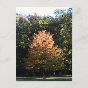 Herbst in Ohio Postkarte