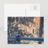 Herbst in Ohio Postkarte (Vorne/Hinten)