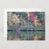 Herbst in Oneida, TN Postkarte (Vorne/Hinten)