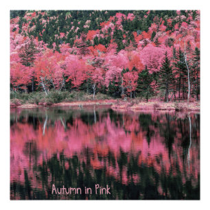 Herbst in Rosa Fotodruck