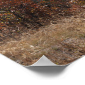 Herbst in San Juans Poster (Ecke)