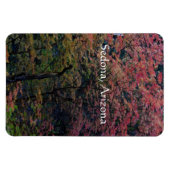 Herbst in Sedona Magnet (Horizontal)