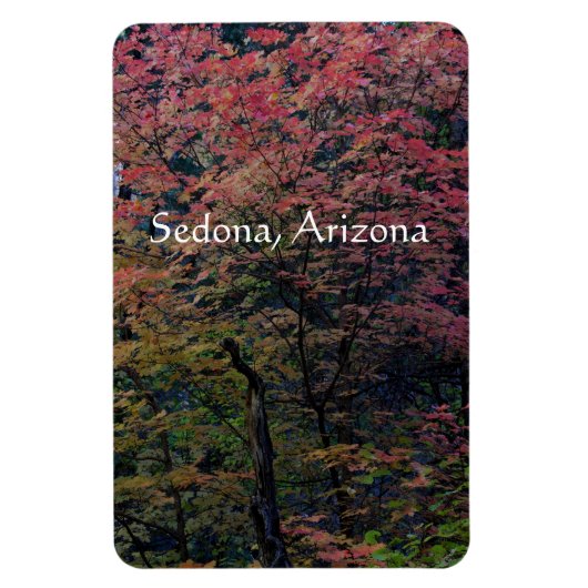 Herbst in Sedona Magnet (Vertikal)