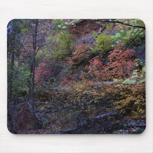 Herbst in Sedona Mousepad (Vorne)