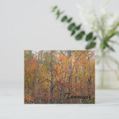 Herbst in Tennessee Postkarte (Stehend Vorderseite)
