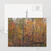 Herbst in Tennessee Postkarte (Vorne/Hinten)