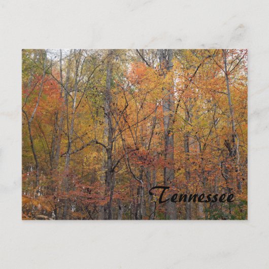 Herbst in Tennessee Postkarte (Vorderseite)