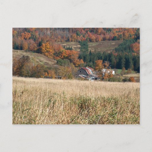 Herbst in Vermont-Postkarte Postkarte (Vorderseite)