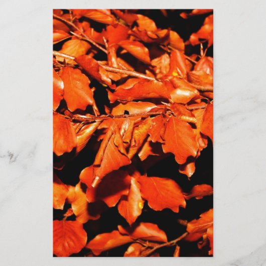 Herbst in Wald Briefpapier (Vorderseite)